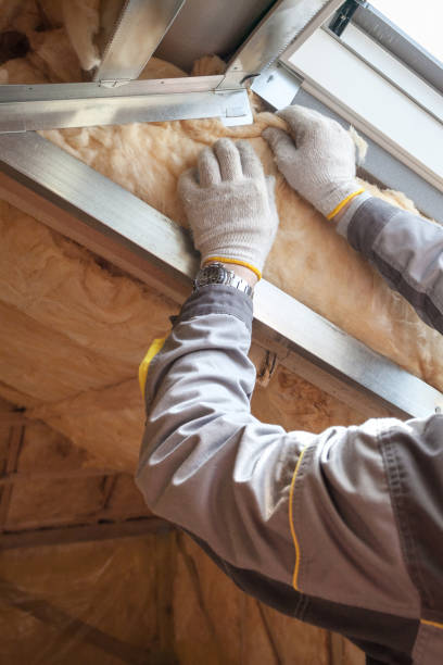 Best Types of Insulation in Bronson, FL